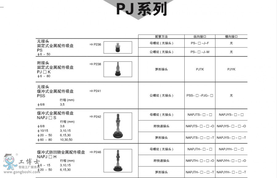 P(pn)w  PJG-1